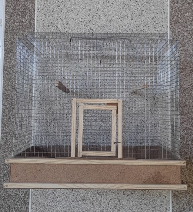 Kiletkalar sotiladi qushlar uchun