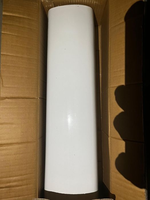 Раковина тюльпан