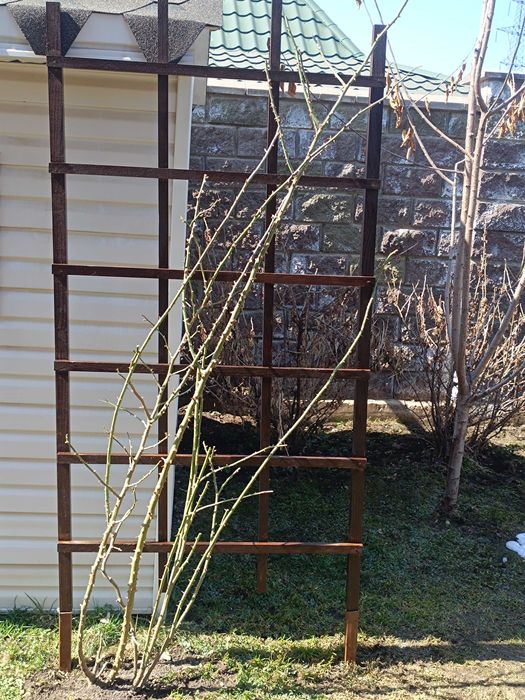 Шпалера для розы