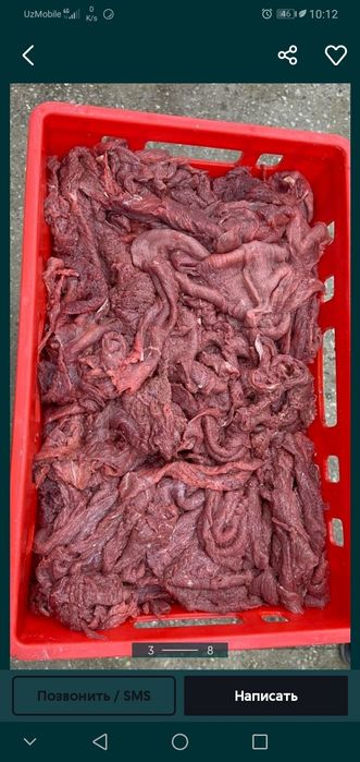 Lavash Danar ga gosht