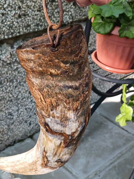 Дървена купа с капак + катраница от стар рог