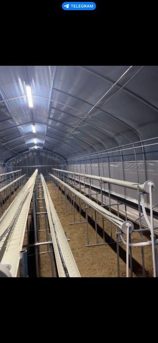 Парник тез  сотилади