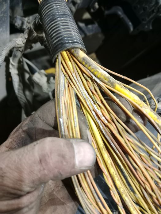 Автоэлектрик район шанхай