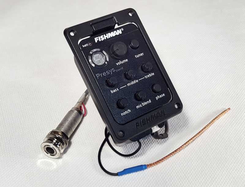 (MUSIC BRAND) Fishman ekvalazer