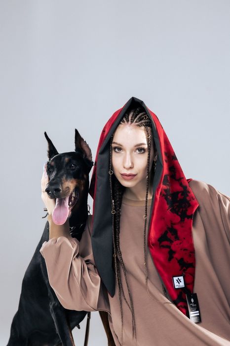 Доберман для фотосессии