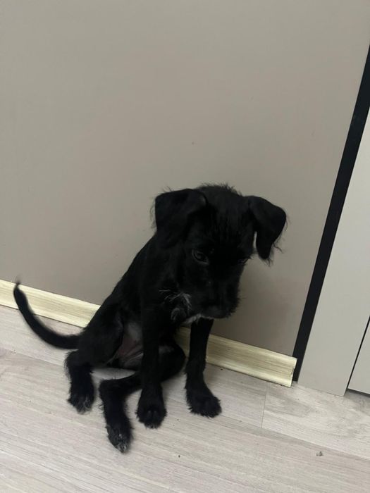 Одадим в хорошие руки красивую девачку