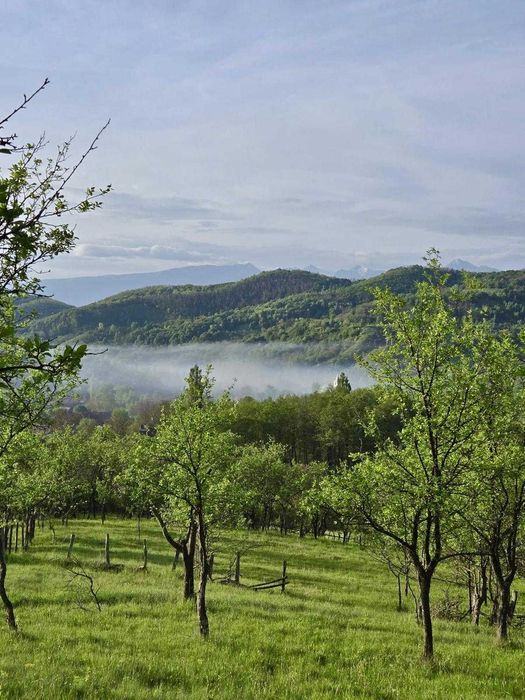 Proprietate deosebită în Răchitova – 5000 mp teren, două case renovate