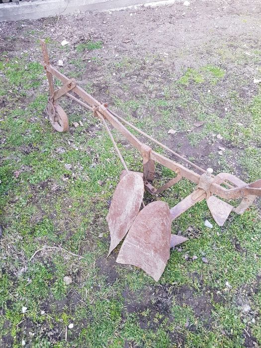 Prasitoare veche pentru cal