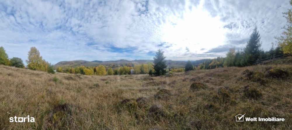 Teren de vanzare – Muntele Baisorii, 1000 mp, vedere spre rezervatia