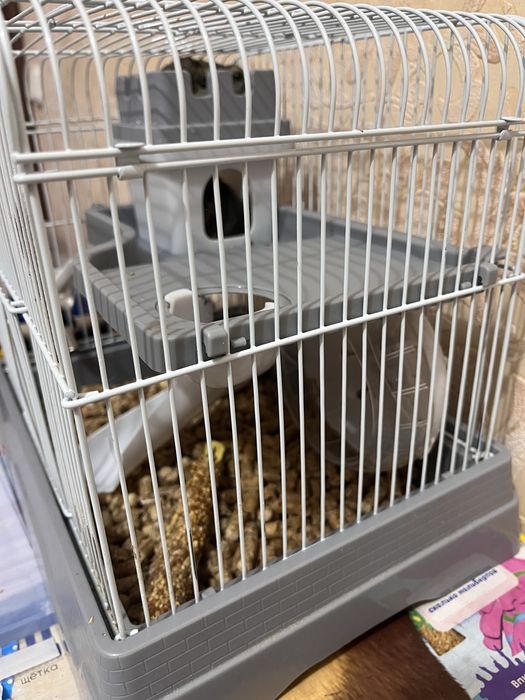 Продаю 2 хомика и клетка 6000