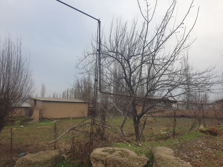 Ер сотилади Янгибозорда 10 соток