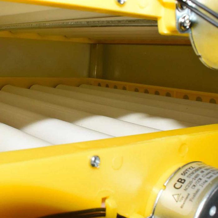 Професионален инкубатор, Люпилня MS-300 яйца (DC 12V / AC 220V)