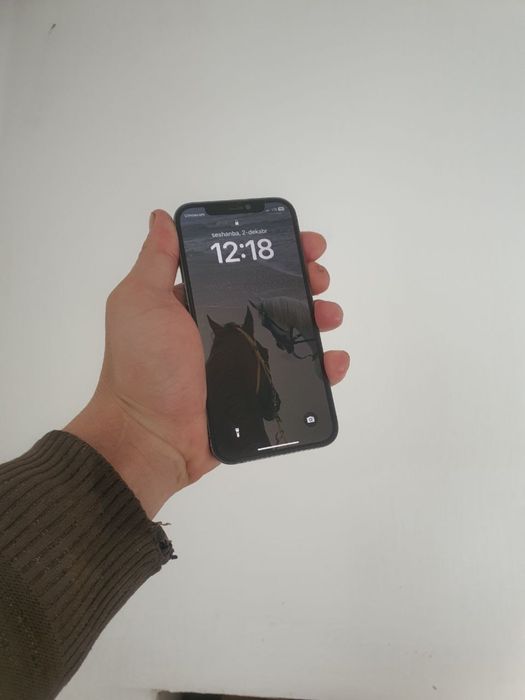 Iphone 12 pro ideal sroshna