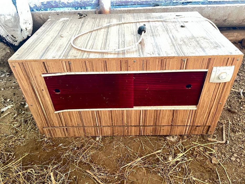 Инкубатор рабочий