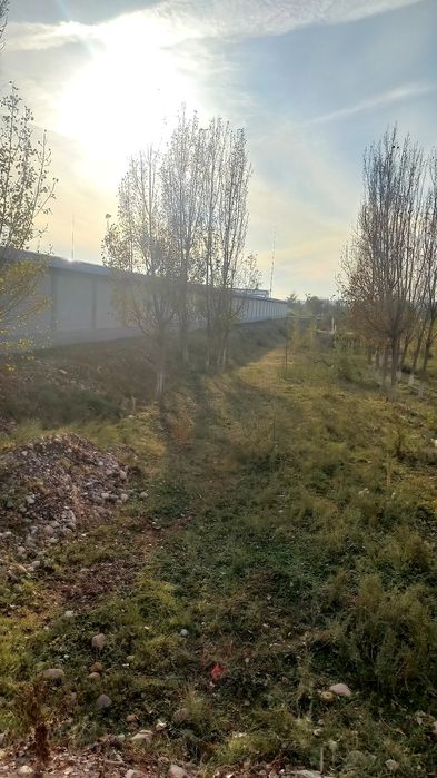 Трасса чирчик газалкент 1 гектар  земля
