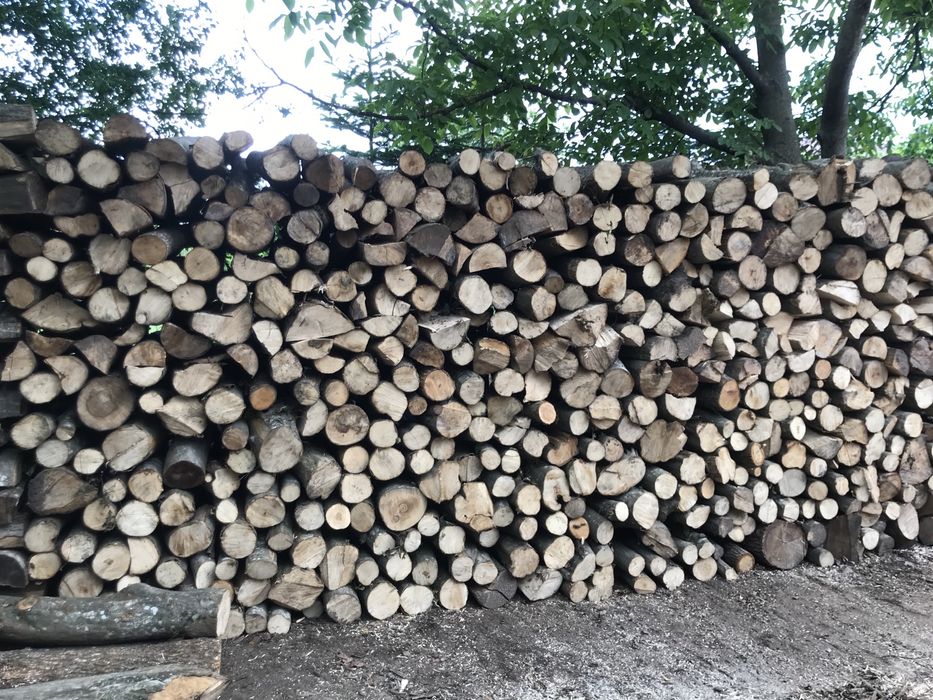 Lemne de foc,fag,taiate la metru sau la dim dorita!