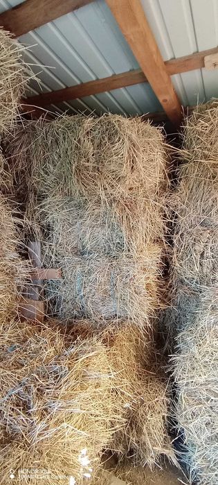 Vând baloți de fân