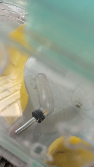 Клетка для хомяка