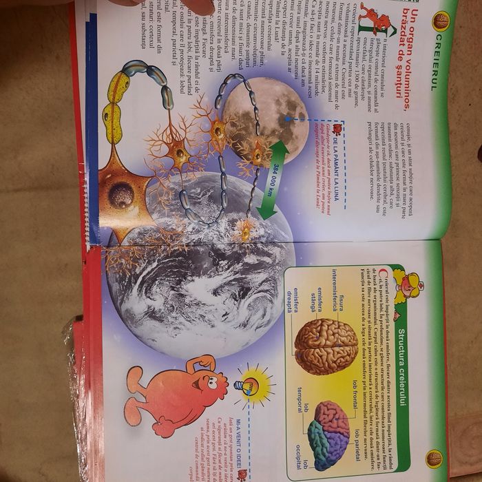 Colecția Corpul Uman