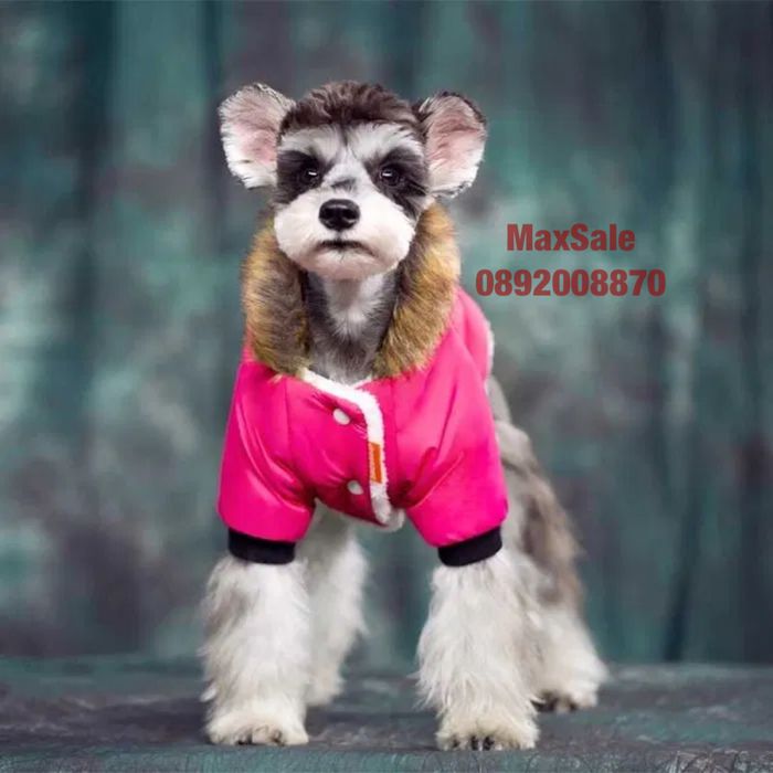 Зимно ватирано кучешко яке палто елече с пухена качулка