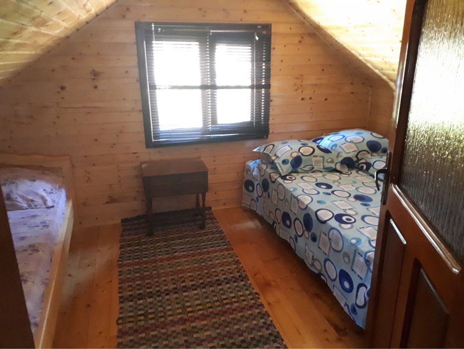 Cabana Casa Mili Bistra/Alba