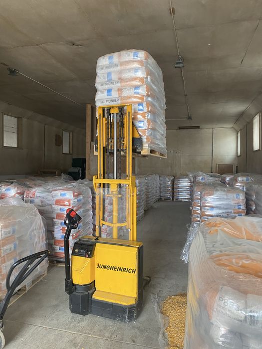 Samanta porumb, floare PIONEER NEOMA