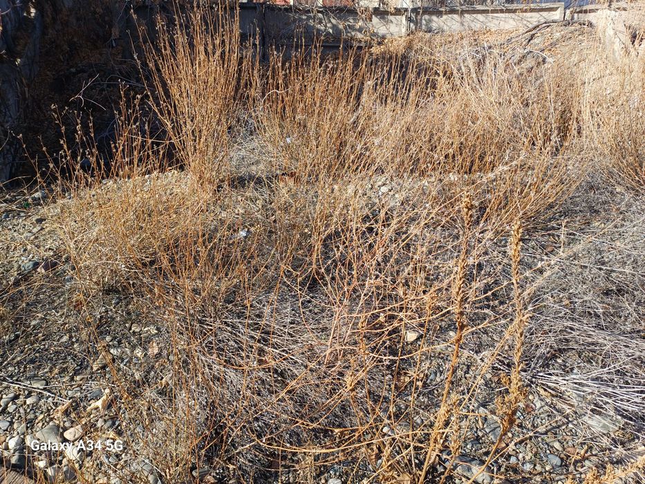 Грунт,балласт,выравнивание