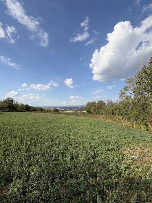 Продава се Къща в с. Маломир, Област Шумен - 4000 кв.м за 10 €/кв.м - Снимка #1