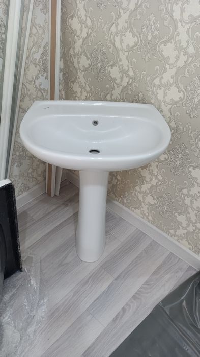 Раковина тюльпан