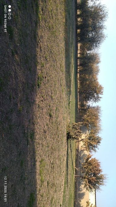 Jondorda yer sotiladi