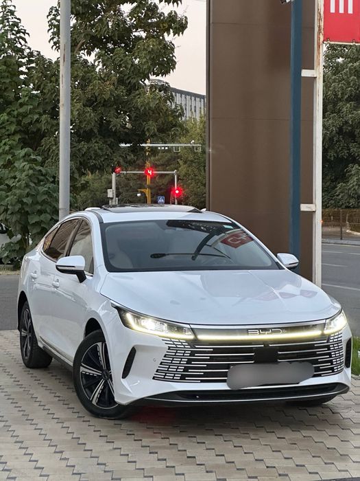 byd chazor full 120km