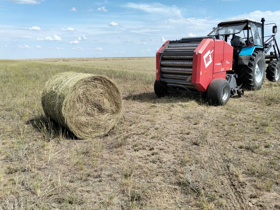 Продам сено разнотравье