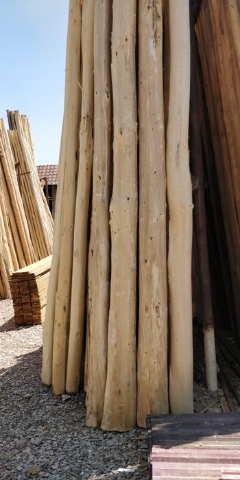 Terak 2.5 m dan 6 m gacha tosin bryus strapila