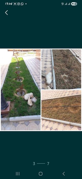 Садовник-озеленитель