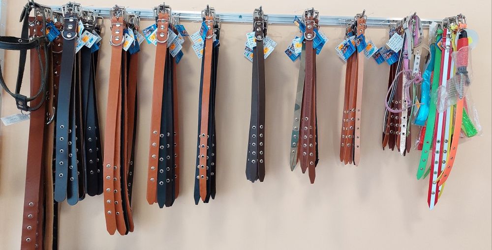 Каишки за кучета от естествена кожа