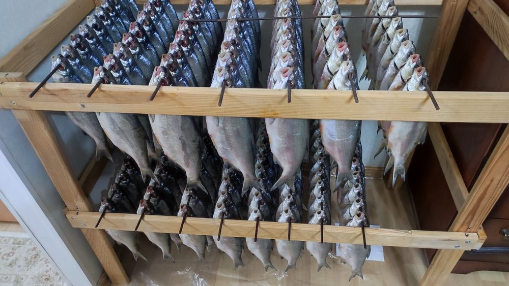 Рыба, Рыбец вяленный малосольный