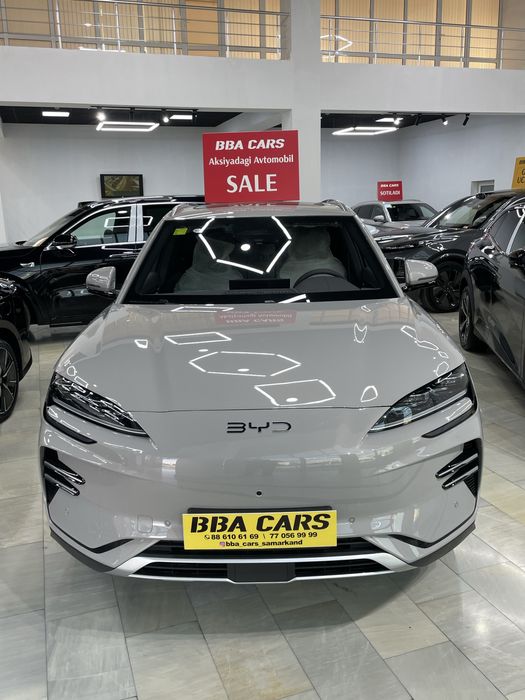 BYD chempion smart /ev