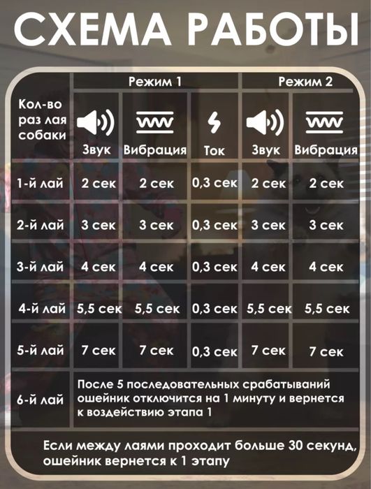 Ошейник электрический для собак