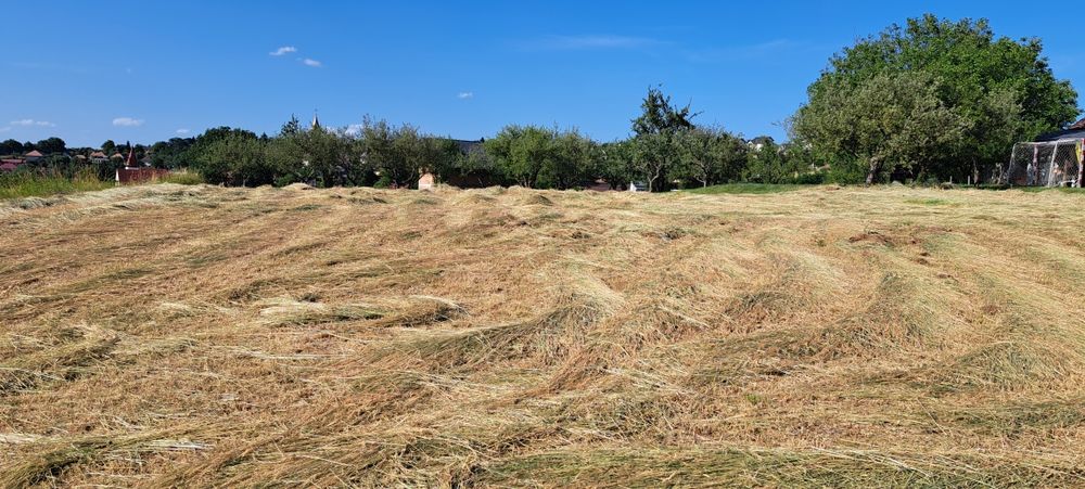 Teren intravilan 2100 mp Feleacu