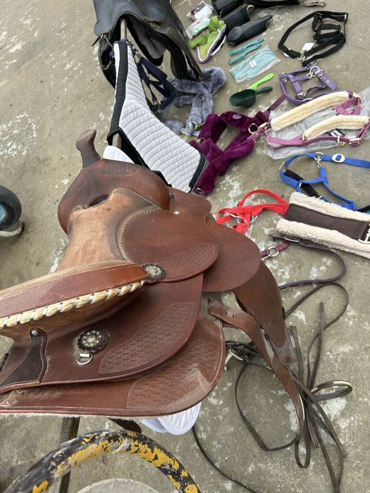 Șei/Căpestre pentru cai