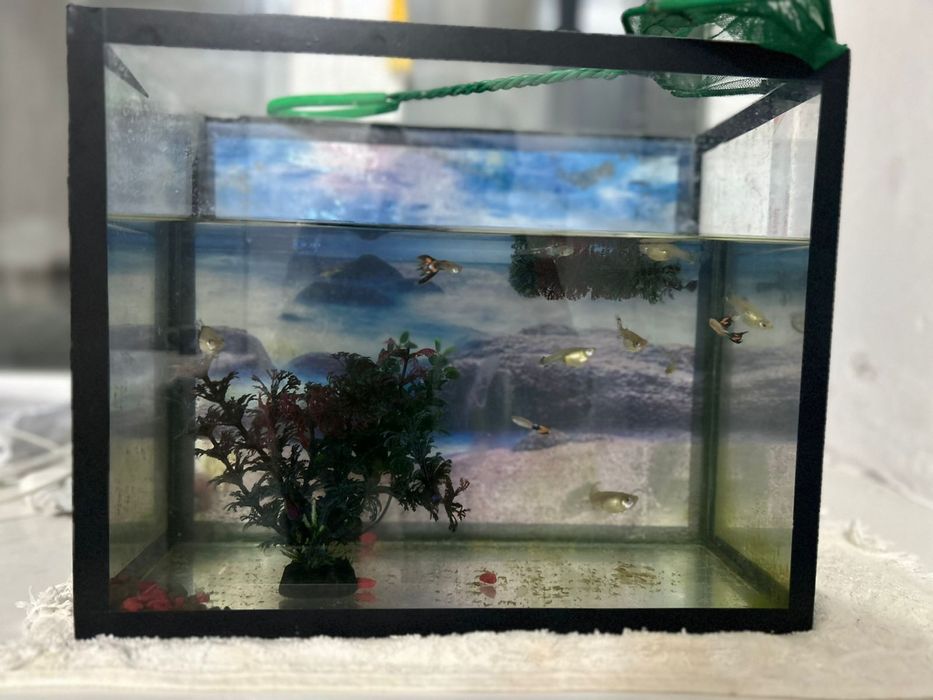 Продам аквариум с рыбкамм