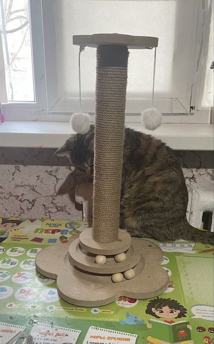 Когтеточка  для кошек.