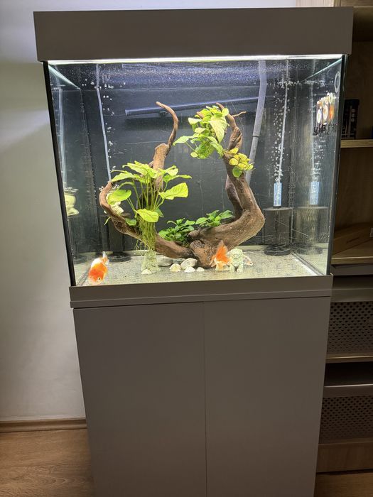 Acvariu 120 de L