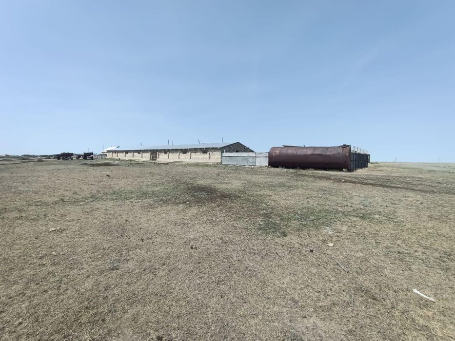 Продам КХ от города 80 км езды. Есть торг