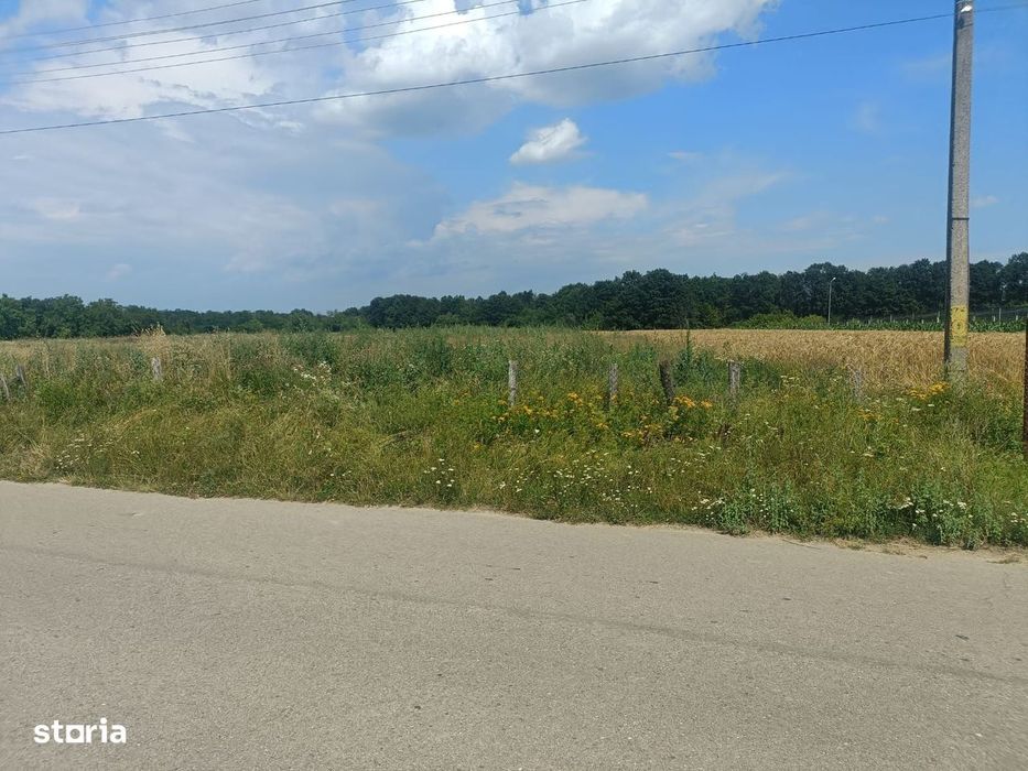 Teren intravilan, 4134 mp,  Dănești