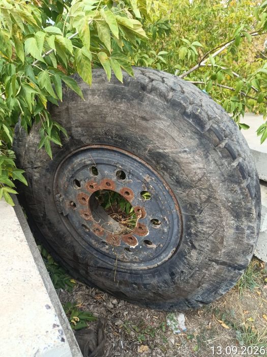 Продаю шины для автокран