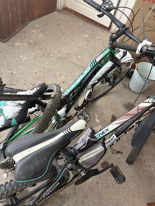 Велосипеды Phoenix