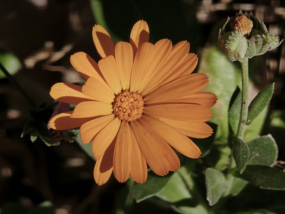 Xiaomi 15t pro обмен/продажа