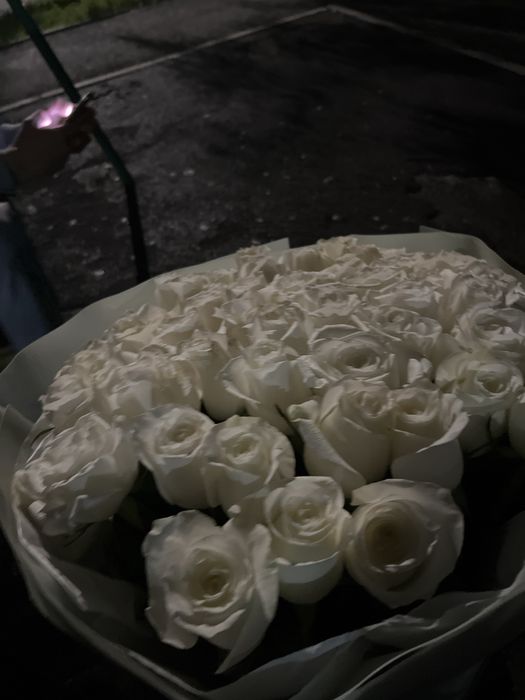 Роза белый 51 штук гул ақ