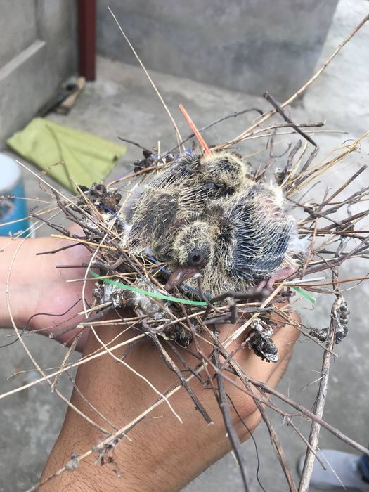 Мастер по ремонт водонагревателей и котлов в Ташкент